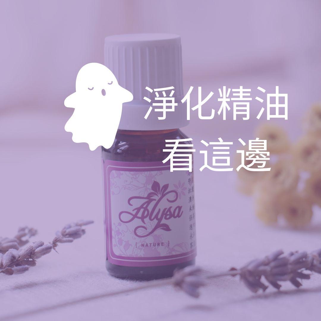 淨化精油的口袋名單