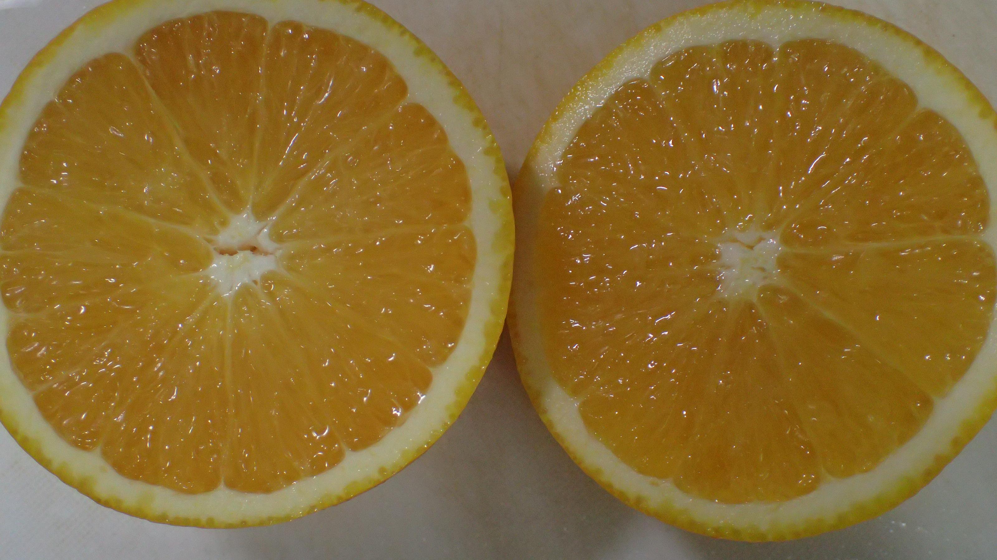 就是那個光--冬天低落的心情、就是要那個光、跟著香氣優雅的微笑吧!