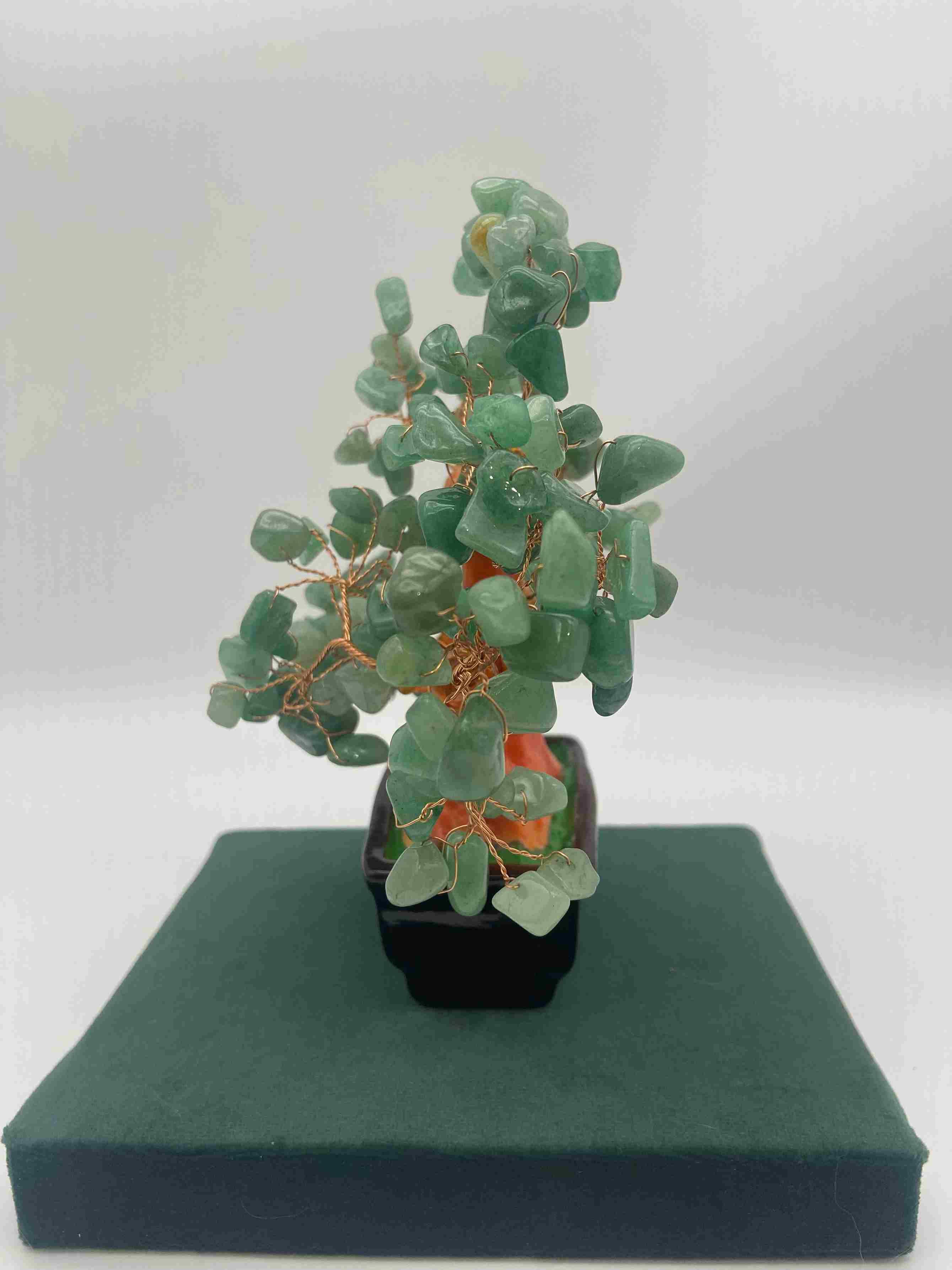 東陵玉盆栽樹 招財進寶