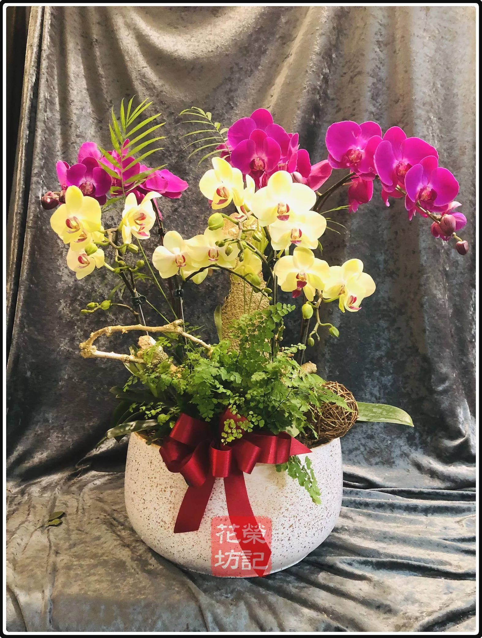 桌上型混搭喜慶蘭花組合 | Tabletop Orchild Mix for Celebration