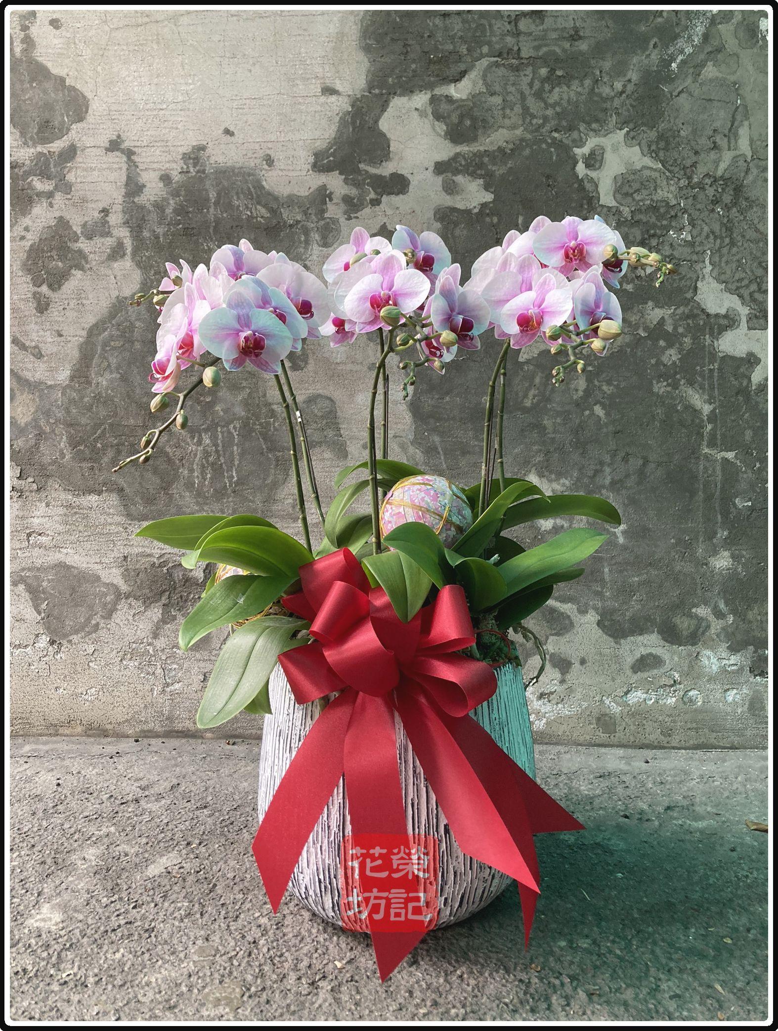 落地型喜慶蘭花組合 | Floortop Orchild Mix for Celebration