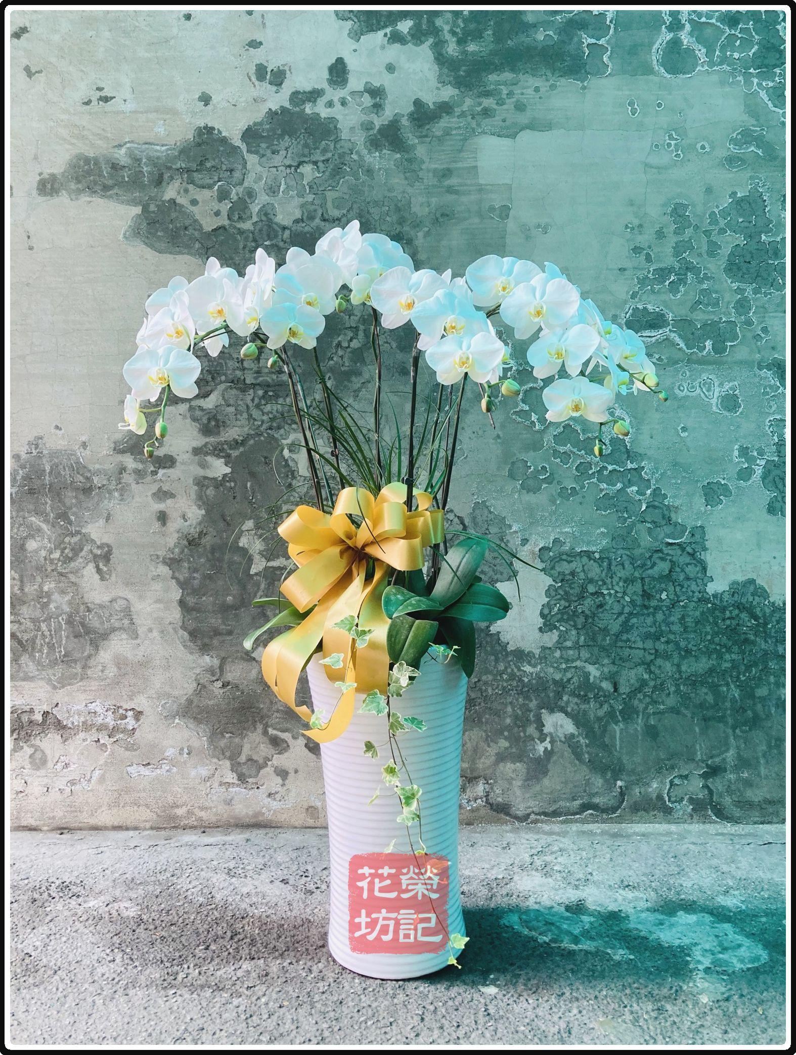 落地型追思蘭花組合 | Floortop Orchild Mix for Condolence