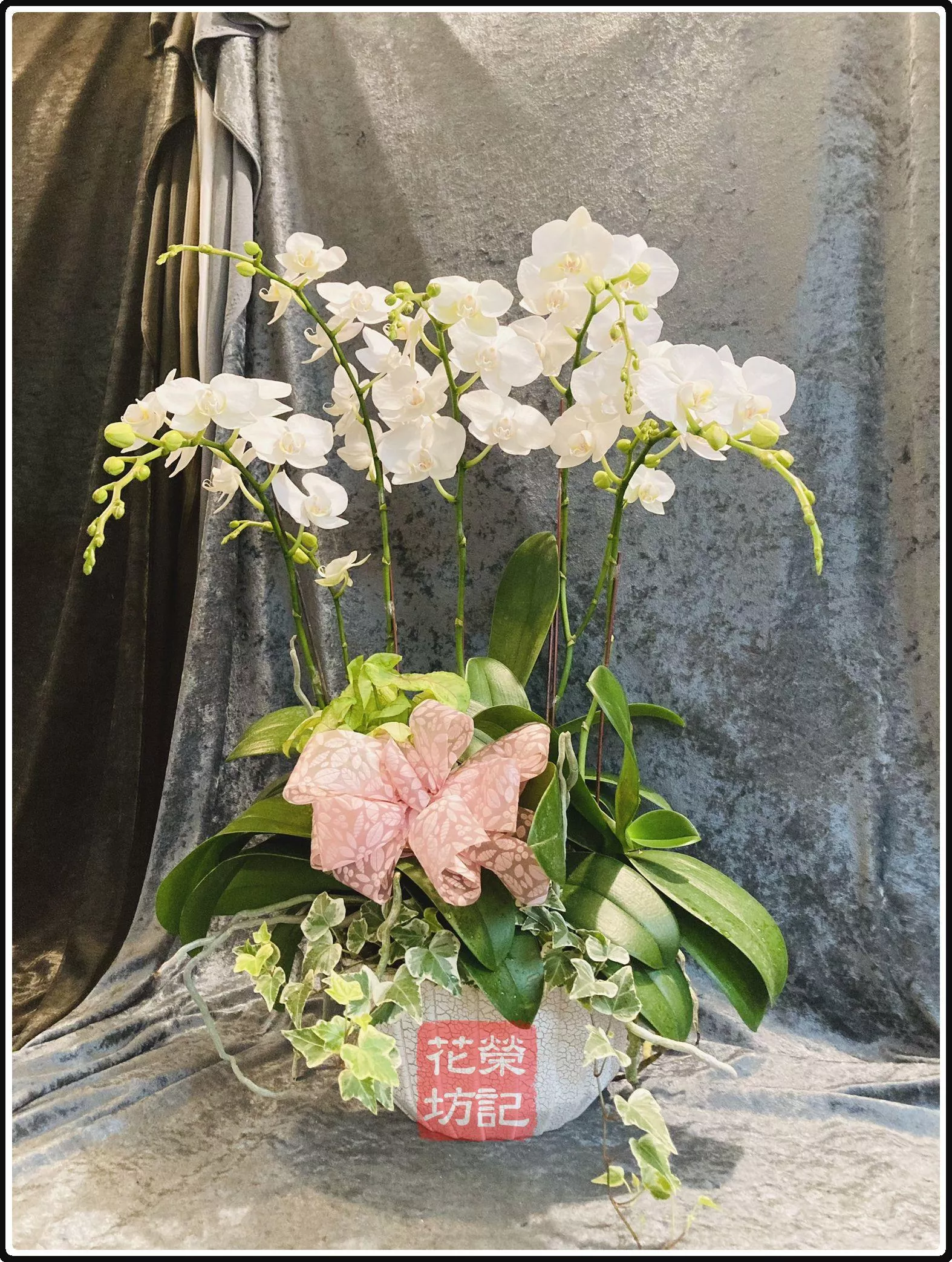 桌上型追思蘭花組合 | Tabletop Orchild for Condolece