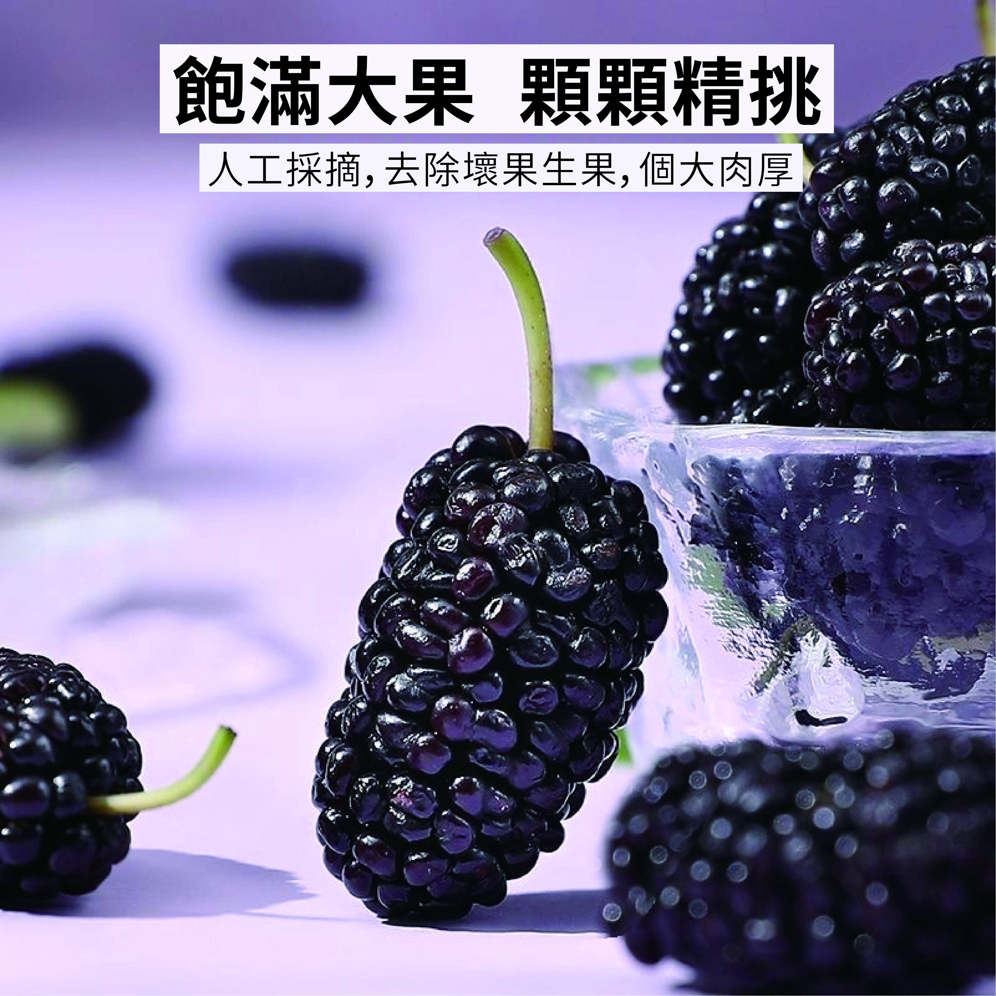 百果坚坚 桑葚乾