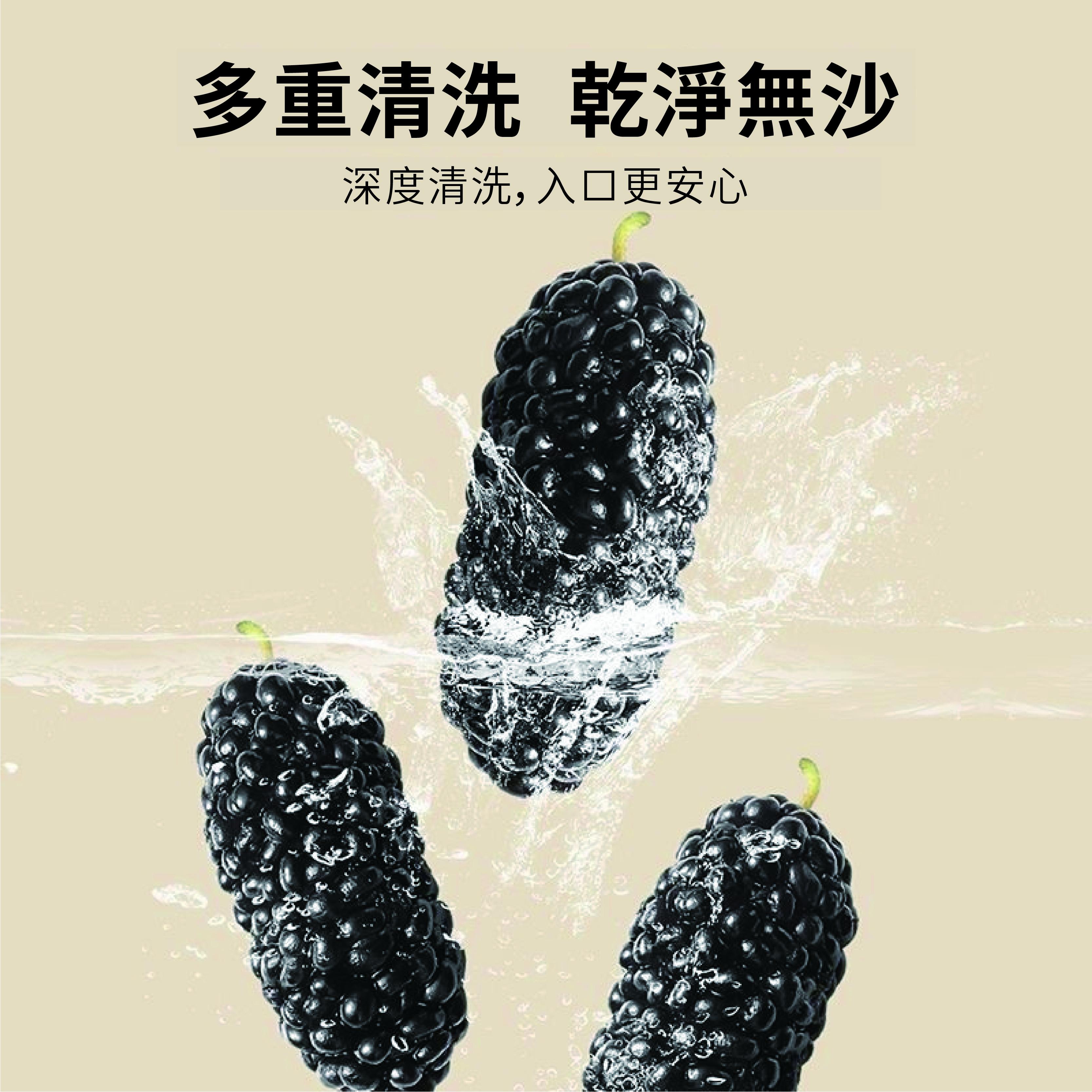 百果坚坚 桑葚乾