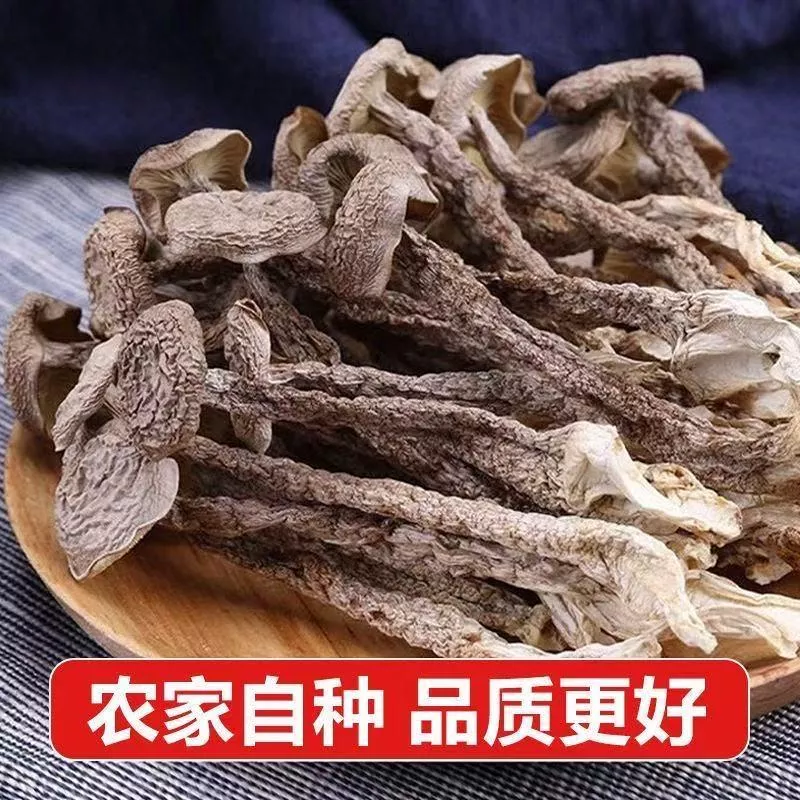 鹿茸菇