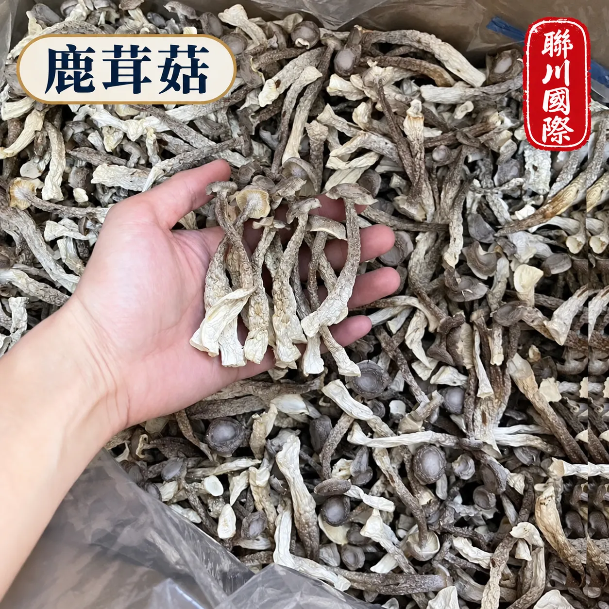 鹿茸菇乾貨散裝10kg