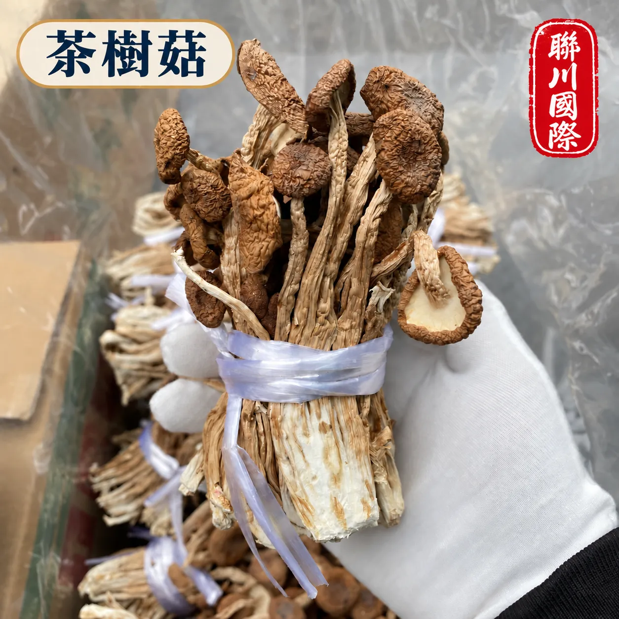 茶樹菇乾貨捆把5kg