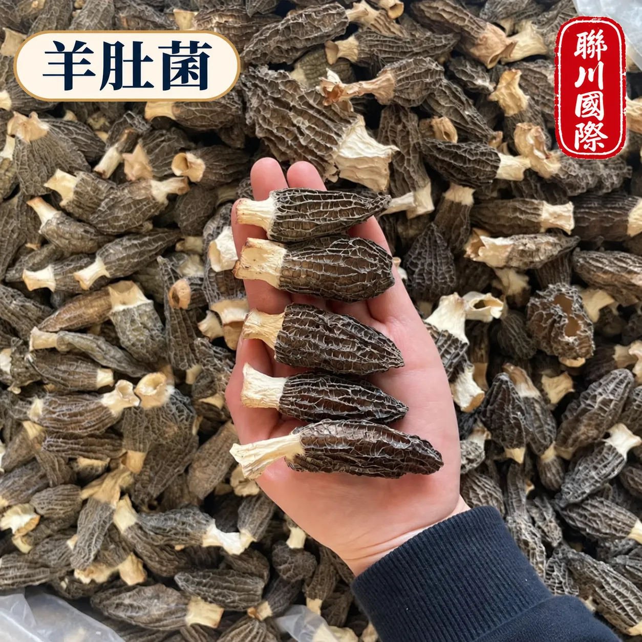 羊肚菌乾貨散裝3kg
