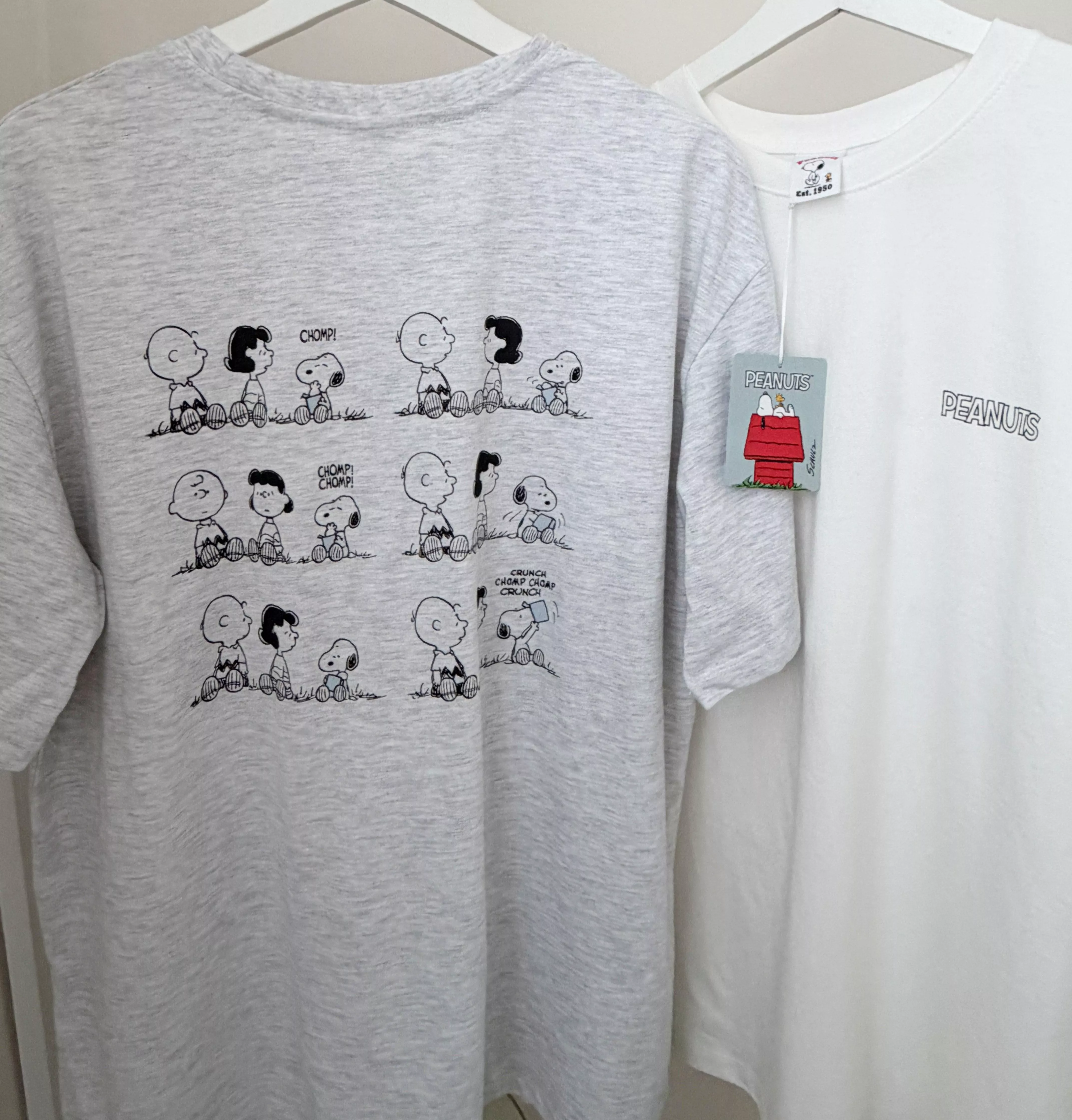 Snoopy friends tee