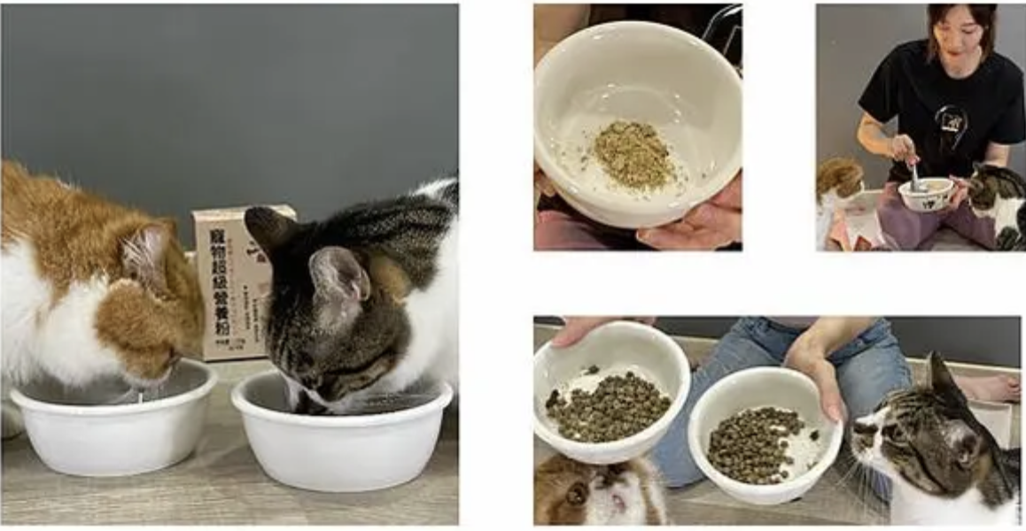 [ 薇琪分享 ] 超寵寵物超級營養粉