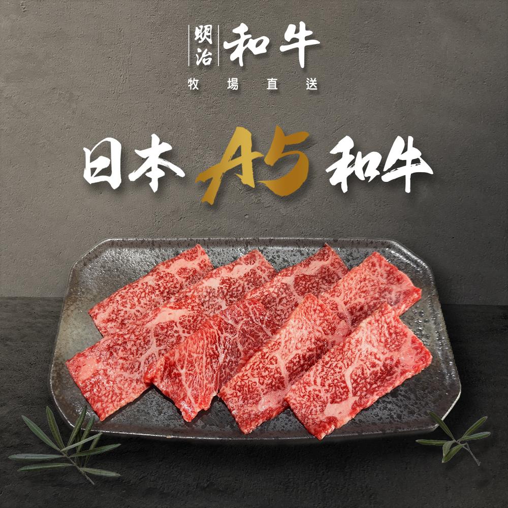 日本宮崎 A5有田和牛 和牛燒肉 (100g/盒)