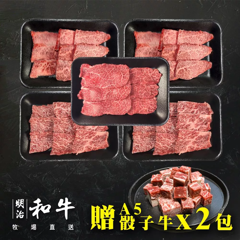 日本宮崎 A5燒肉組合 5包組(100g*5)+送兩包A5角切骰子牛(100g*2)