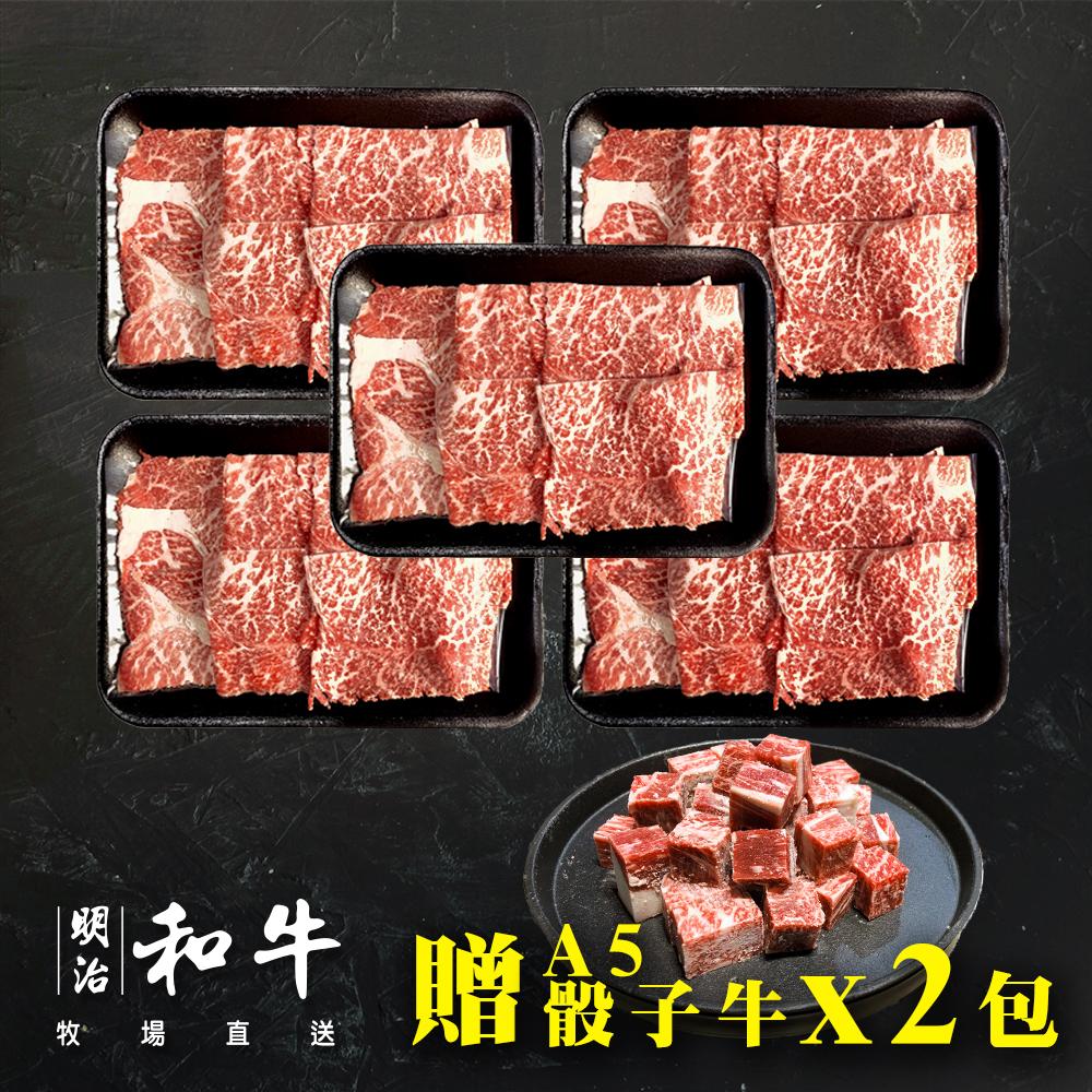 日本宮崎 A5火鍋肉片組合 5包組(100g*5)+送兩包A5角切骰子牛(100g*2)