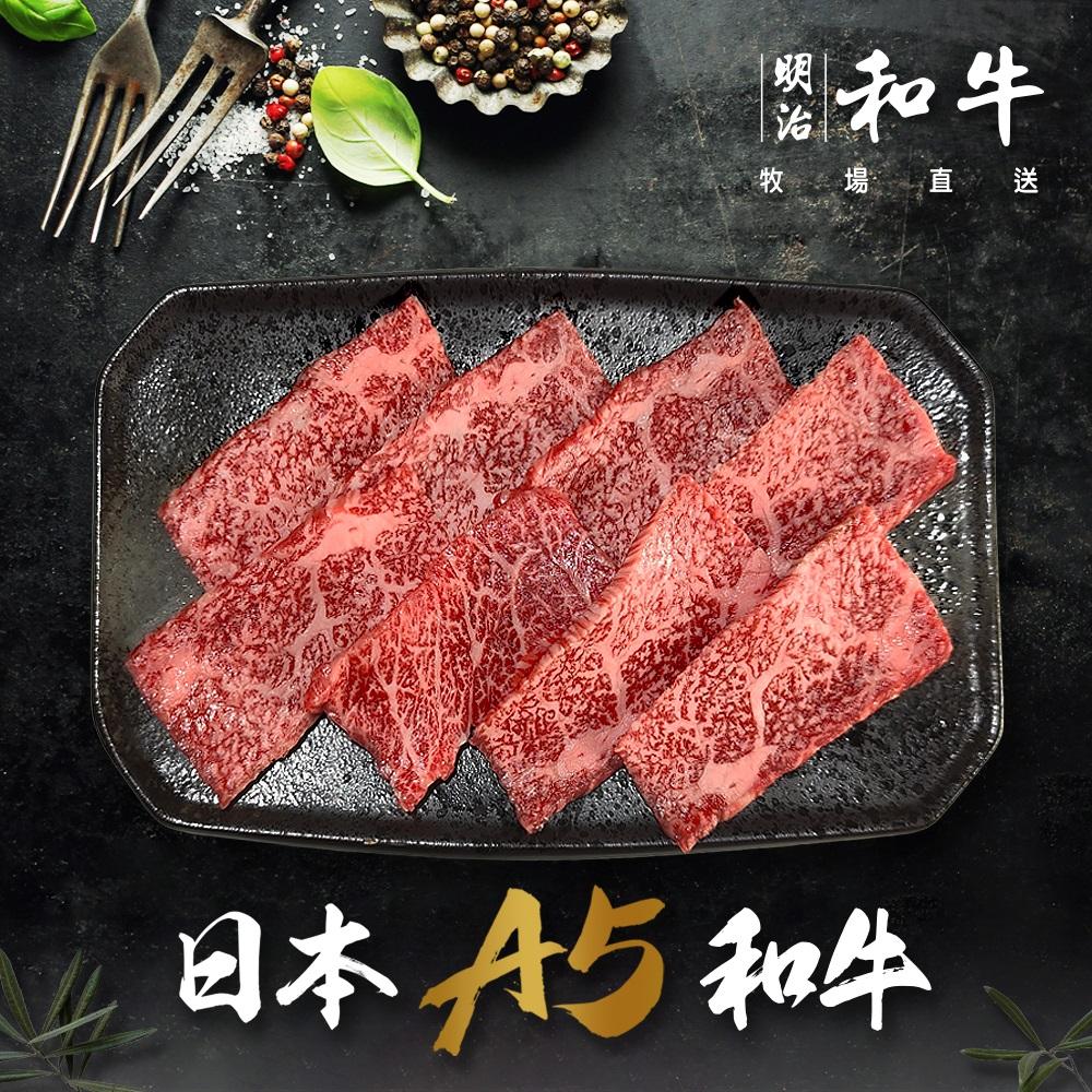 日本宮崎 A5有田和牛 和牛燒肉 (100g/盒)兩盒