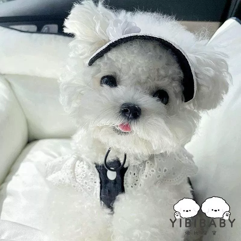 清新乾淨素衣群