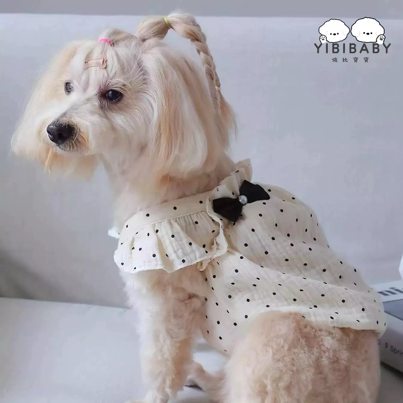 可愛雙蝴蝶結 波點群