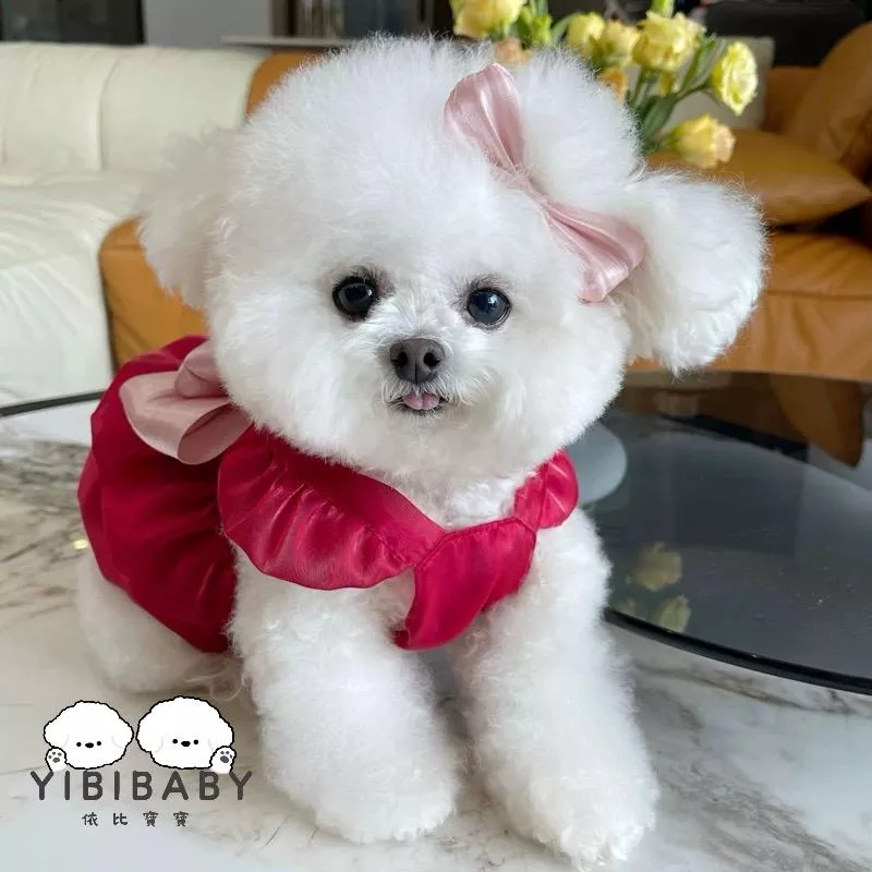 超美新款寵物流光紗公主裙