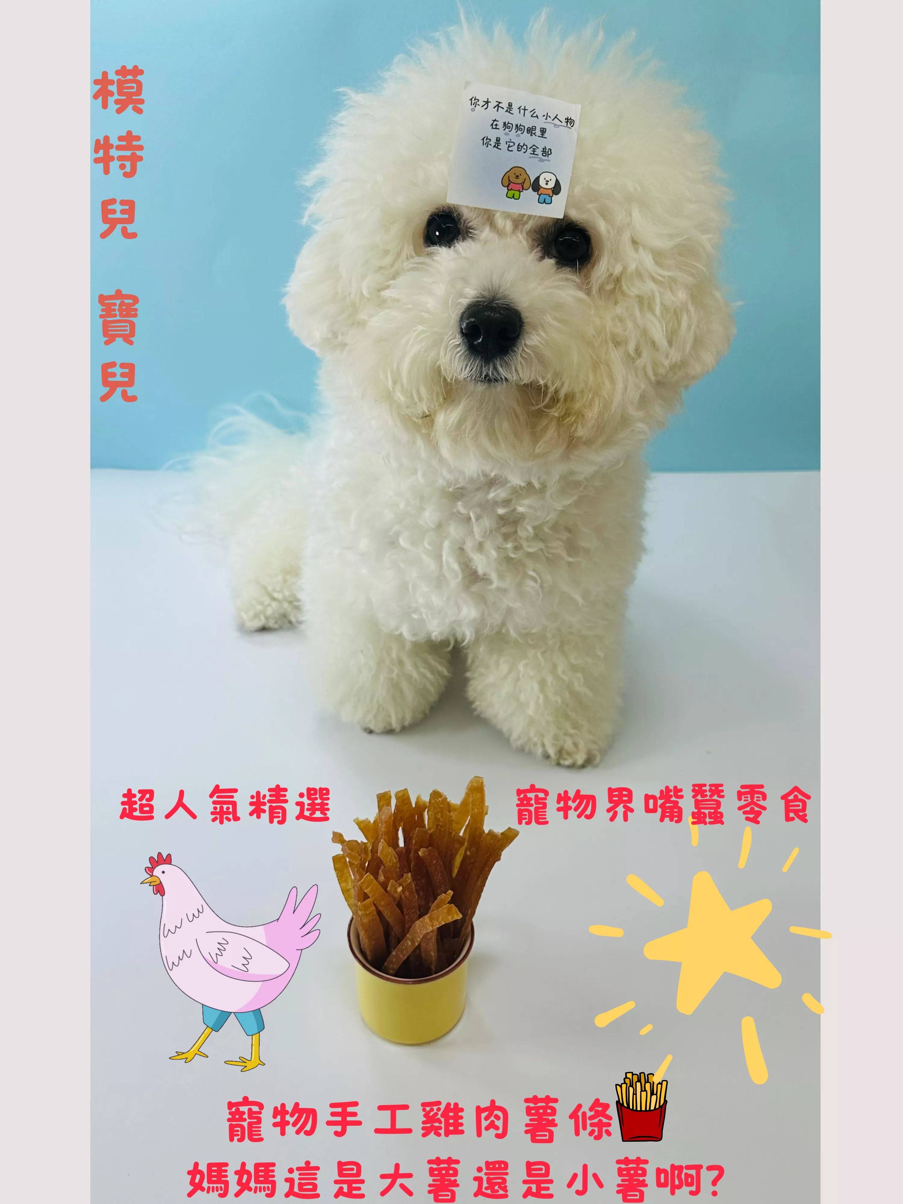 狗界人氣精選手工雞肉薯條🍟