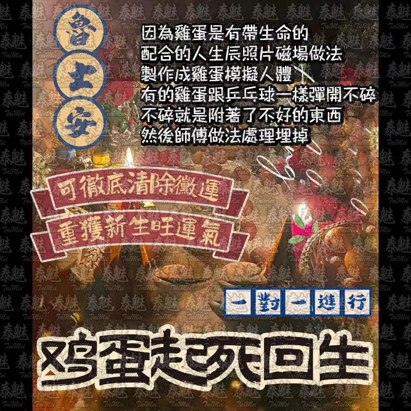 魯士安 雞蛋起死回生 魯士安 雞蛋起死回生