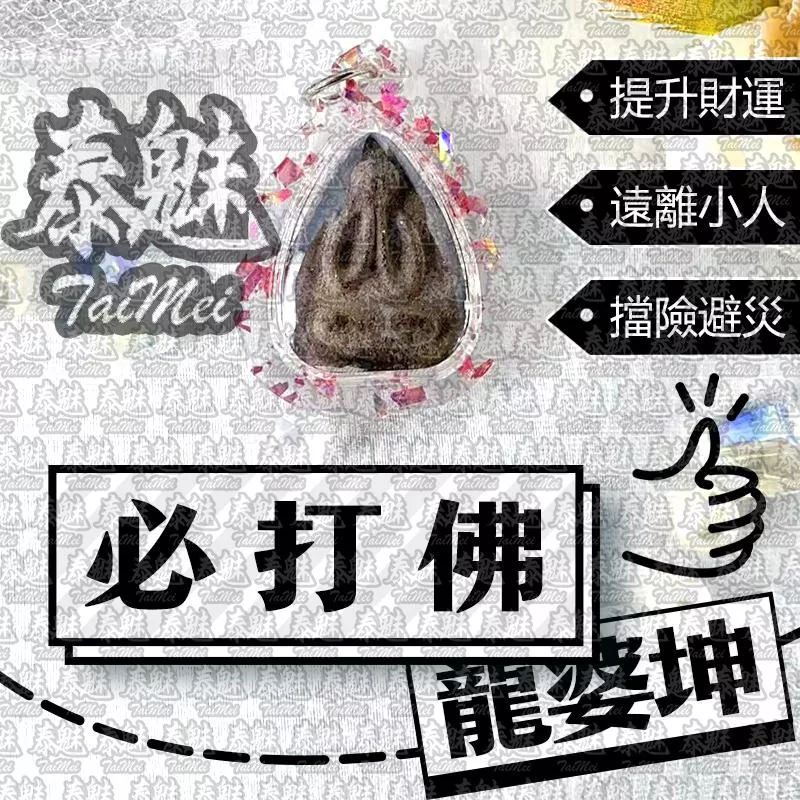 龍婆坤 必打佛 龍婆坤 必打佛