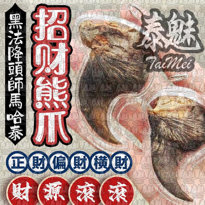 馬哈泰 招財熊爪