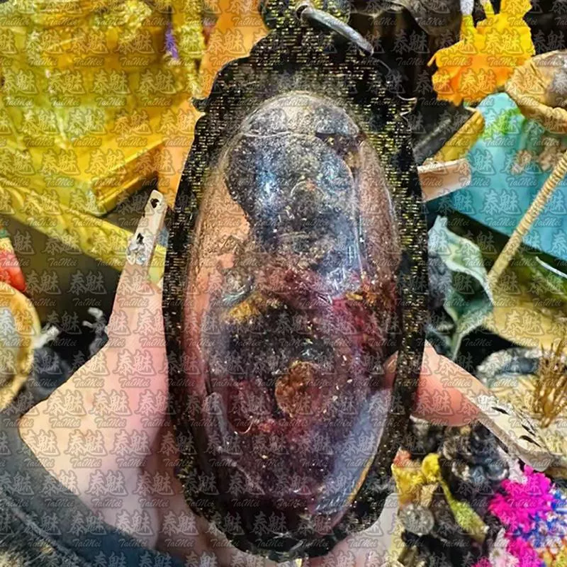 魯士舍神明  早期手模屍肉古曼