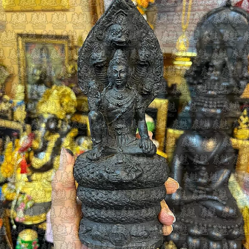 龍婆龍耐 2550年 澤度金 龍婆龍耐 2550年 澤度金