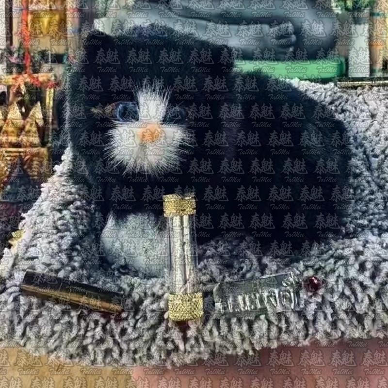 阿贊班迪 黑貓供奉