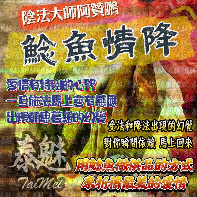 阿贊鵬 鯰魚情降