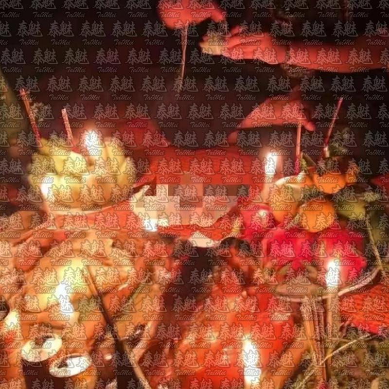 獨家 相隨合婚情降