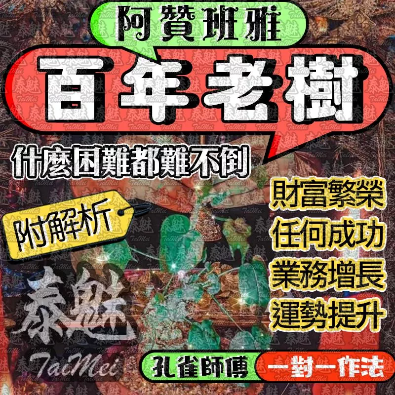 阿贊班雅 百年老樹