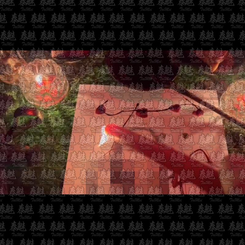 阿贊lakao 飛針重度詛咒