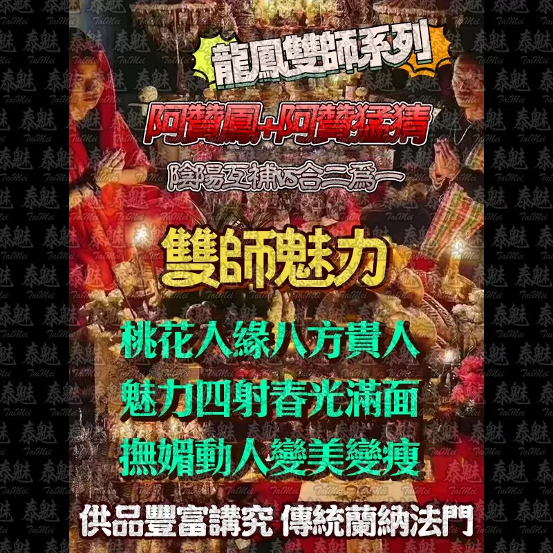 龍鳳雙師 雙師魅力 龍鳳雙師 雙師魅力