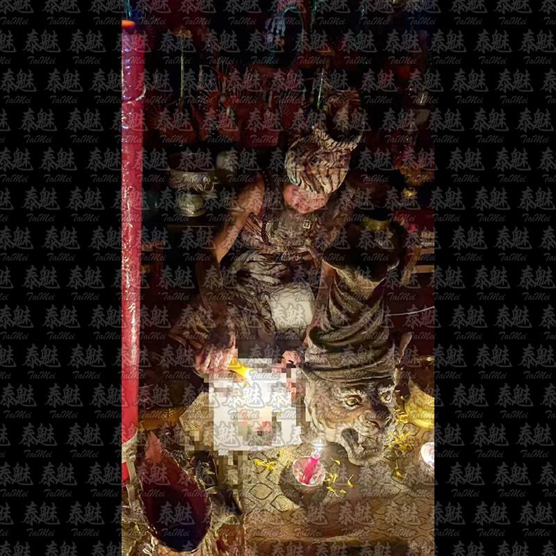 魯士普蛇 錢多多財降