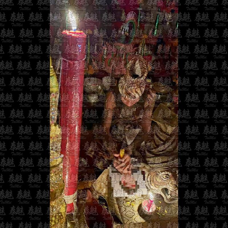 魯士普蛇 錢多多財降