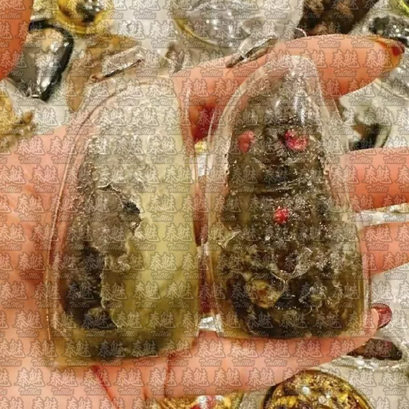 柬埔寨 純屍油小色拍