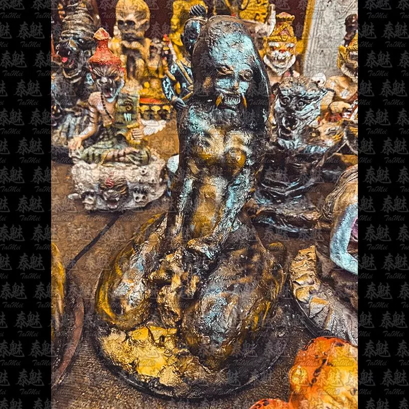 阿贊ton 虎女供奉型