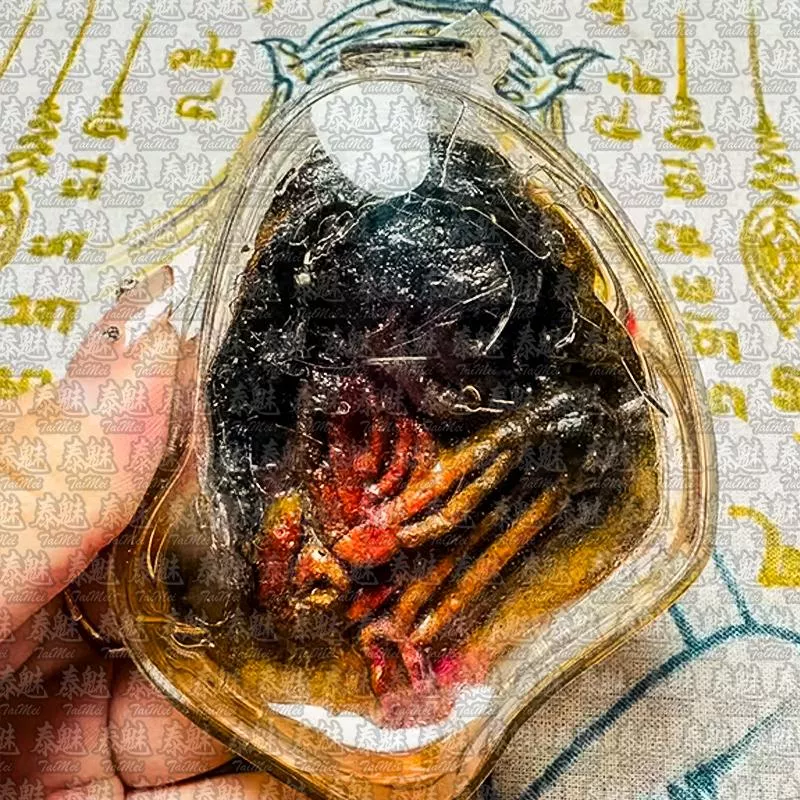 阿贊ton 路過古曼