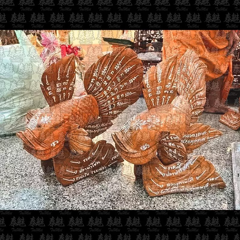 龍婆暖 鬥魚供奉