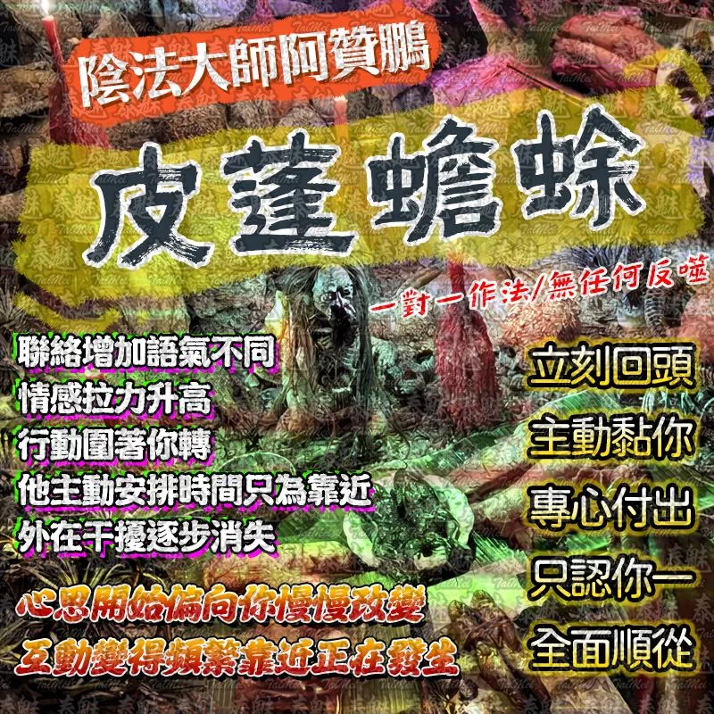 阿贊鵬 皮蓬蟾蜍