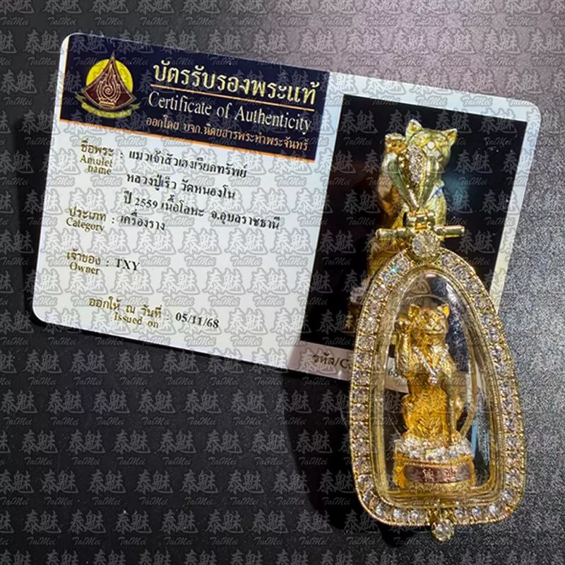 龍婆鎏 2559 座山財貓