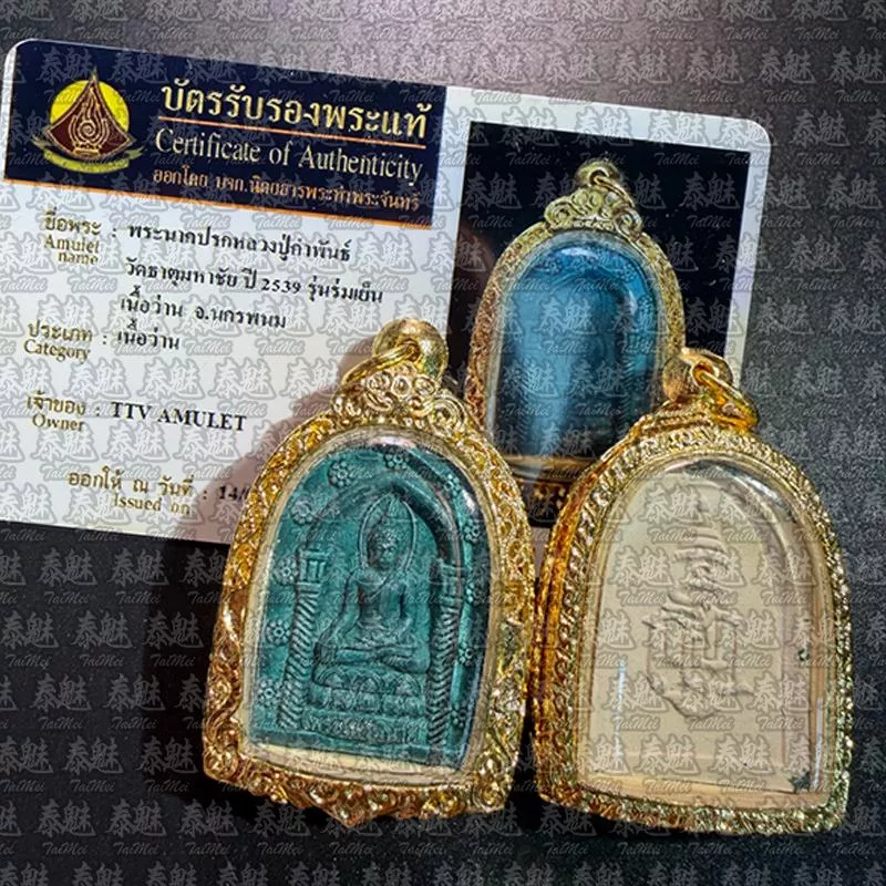 僧王寺 2539 派里碧娜