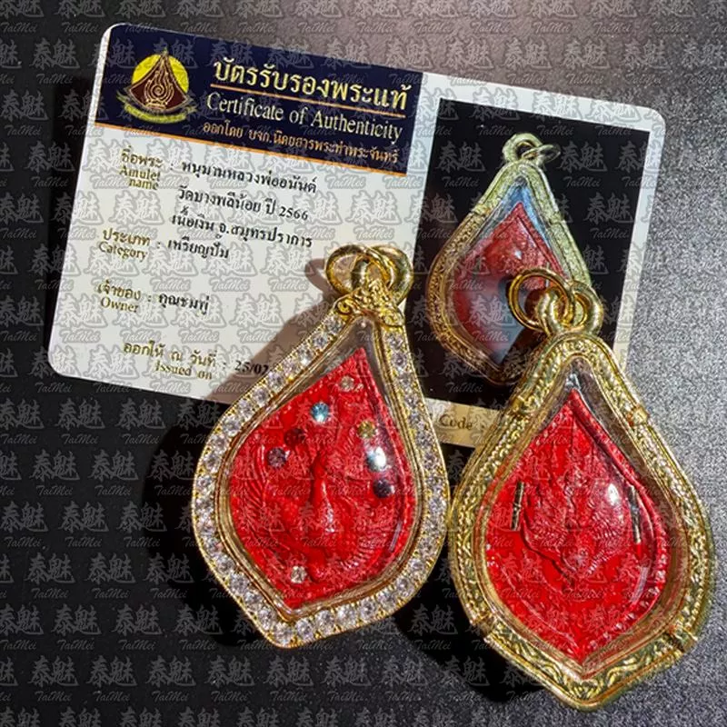 古巴阿里雅查 2566 雙符管孔雀王