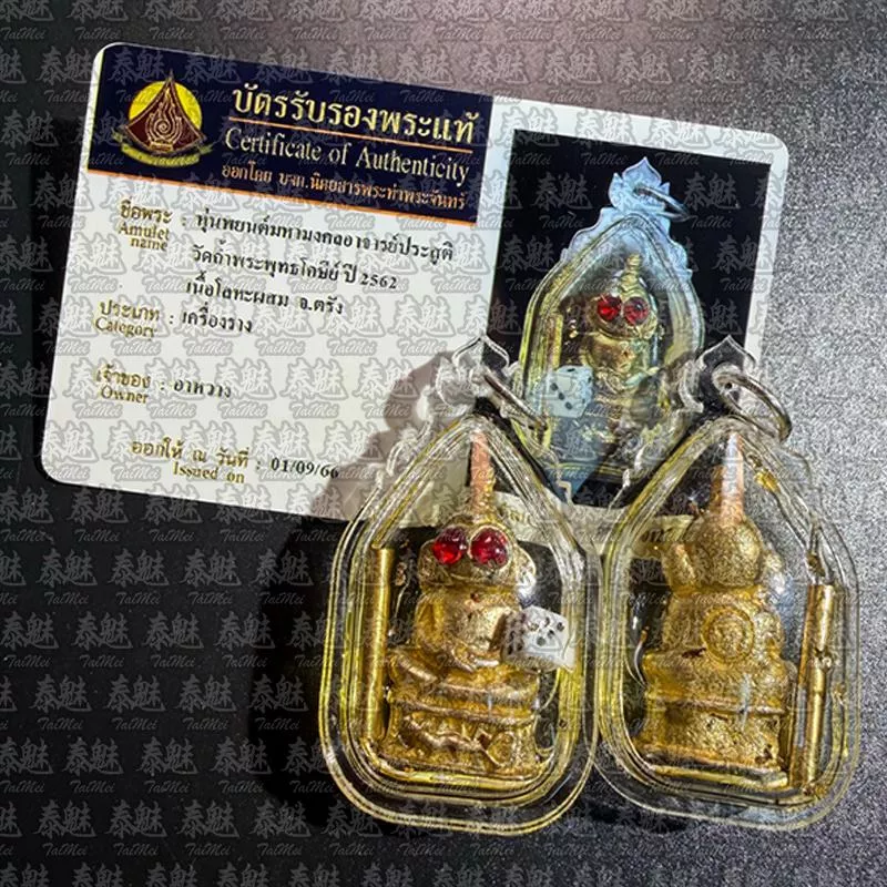 龍婆棉 2562 拍嬰騎精族