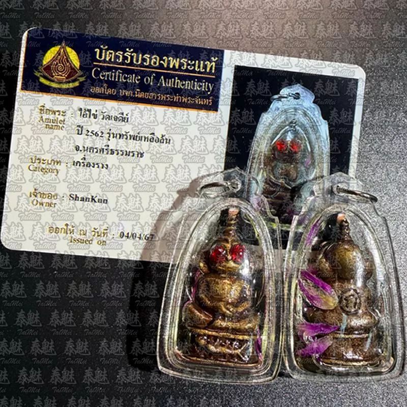 阿贊Put 2562 花瓣拍嬰