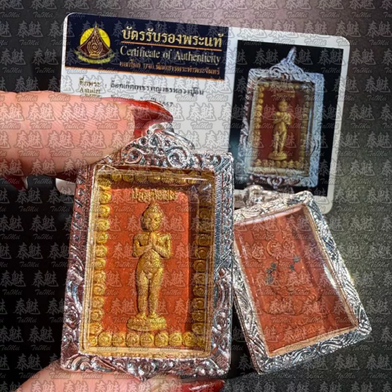 古巴磐石 2557 派蓋兒愛凱 紅