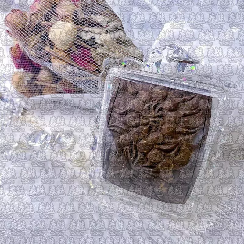 阿贊濕 蜈蚣牌