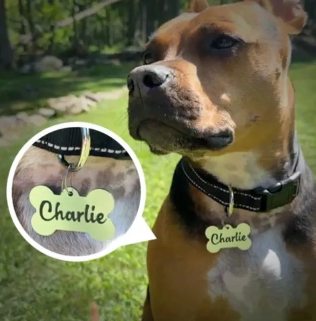 客製化標籤工具包