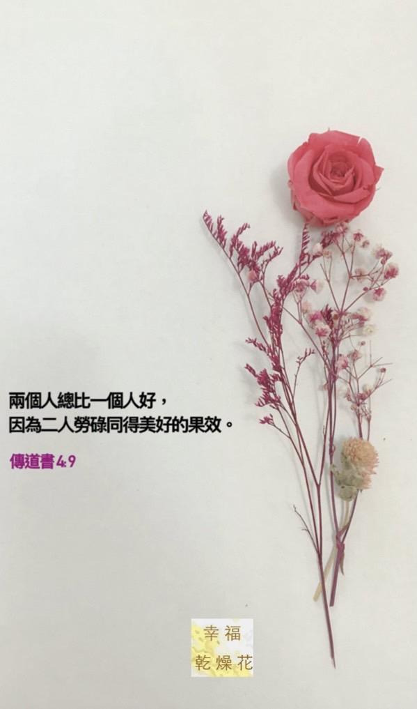 幸福乾燥花 愛的溫度 1111不孤單｜雙11，好事成雙